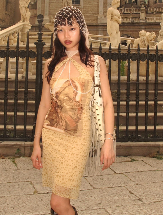 Fairy print mesh slim dress